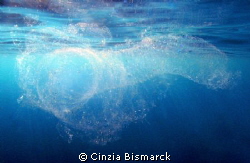 An U.F.O. in the Red Sea (Undefined Floating Object)
Squ... by Cinzia Bismarck 
